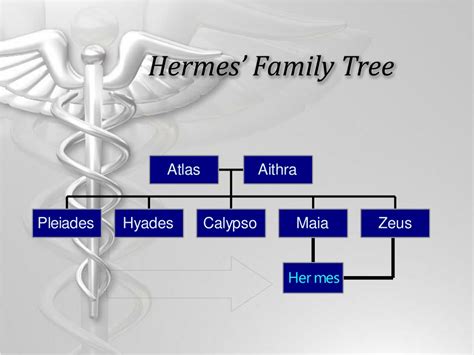 hermes meldoef|Hermes family tree.